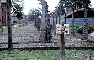 Electrified prison fencing